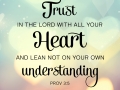 Trust in the Lord with your whole heart and lean not on your own understanding.