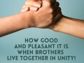 How good and pleasant it is when brothers live together in unity!
