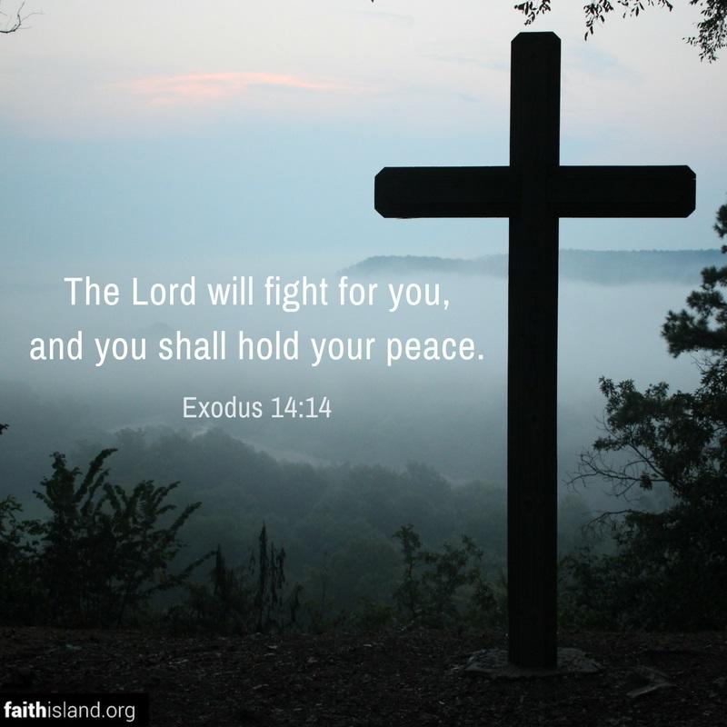 The Lord will fight for you - Exodus 14:14