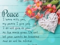 Peace I leave with you, my peace I give you. I do not give to you as the world gives. Do not let your hearts be troubled and do not be afraid.