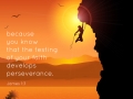 Because you know that the testing of your faith develops perserverance.