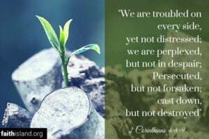 Does God want you to suffer?