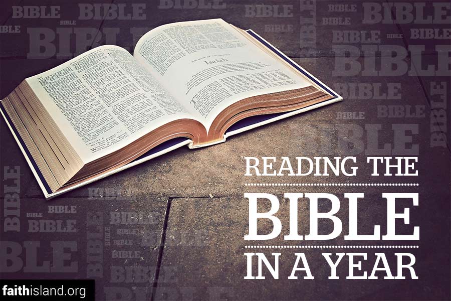 reading the bible in a year