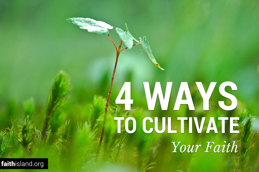 Four ways to cultivate your faith